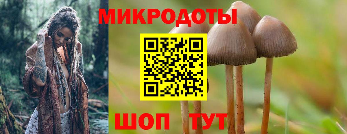 купить наркотик  Вход с VPN  Орехово-Зуево  Псилоцибиновые грибы Psilocybine cubensis 